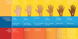 skin-type-chart